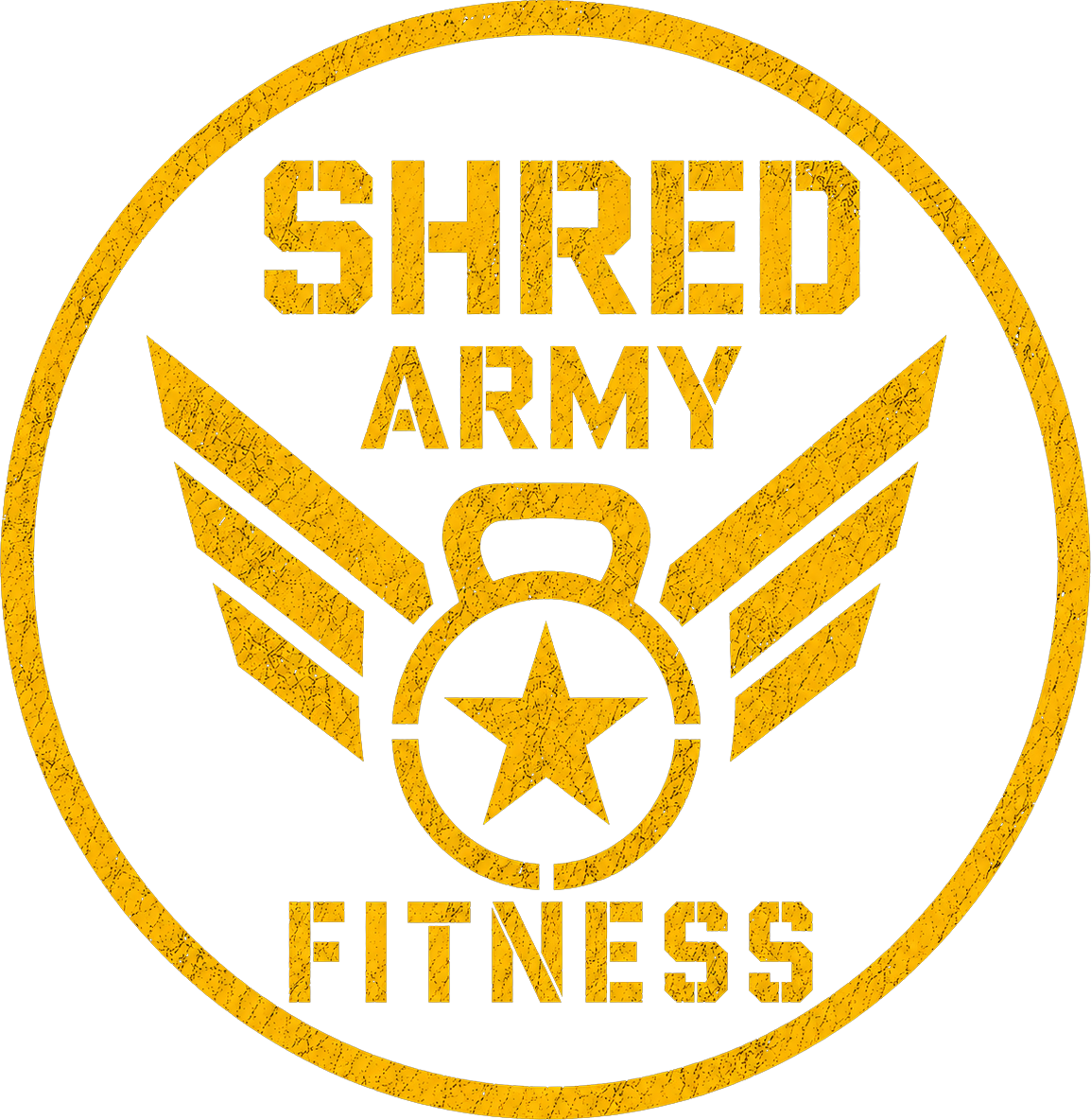 Bryan Healey Fitness
